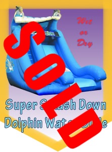 Dolphin Water Slide (Super Splash Down)